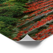 Poster Kyoto, Feuilles d'automne (Coin)