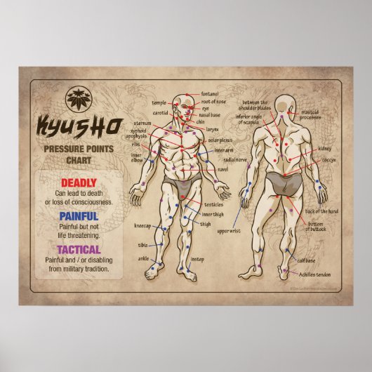 Poster Kyusho - Human Body Pressure Points Chart (Devant)