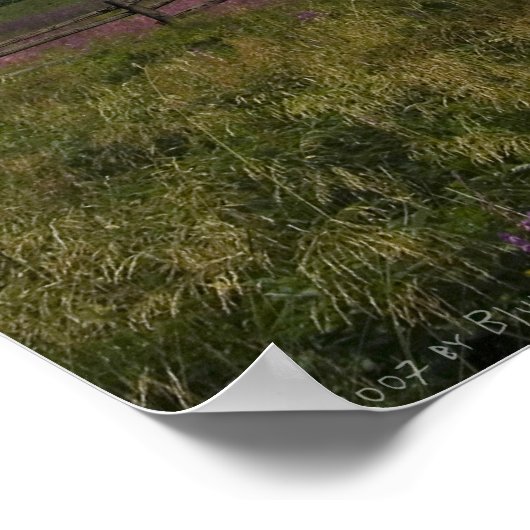 Poster La Aldea (Coin)