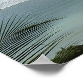 Poster La Bahia (Coin)