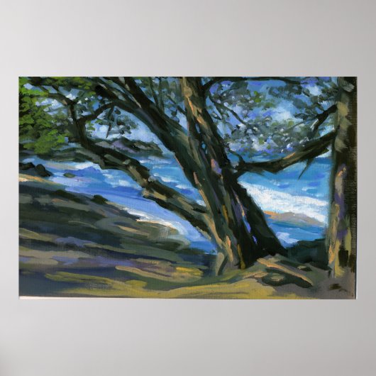 Poster La baie de La Perouse (Devant)