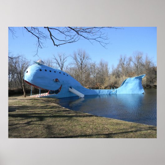 Poster La baleine bleue de Catoosa (Devant)