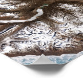 Poster La banquise maritime longe le littoral de l'est du (Coin)