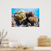 Poster La barrière de corail (Cuisine)
