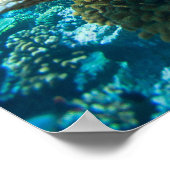 Poster La barrière de corail sous l'eau (Coin)