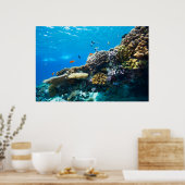 Poster La barrière de corail sous l'eau (Cuisine)