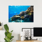Poster La barrière de corail sous l'eau (Bureau à domicile)