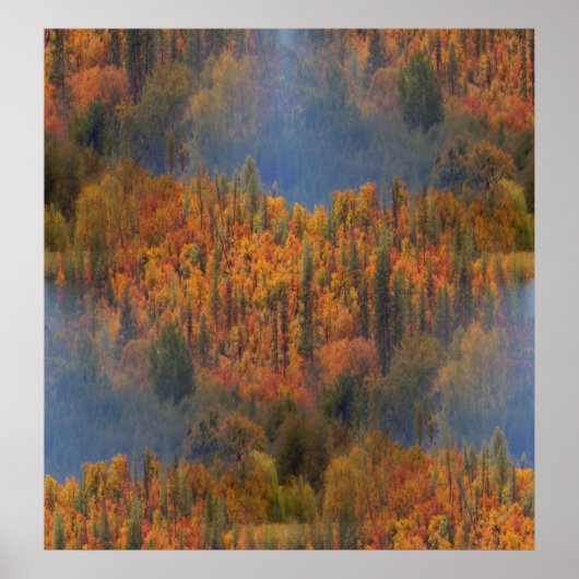 Poster La beauté à l'automne.... (Devant)