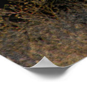 Poster La beauté automnale.... (Coin)