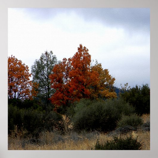 Poster La beauté automnale.... (Devant)
