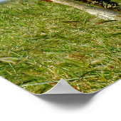 Poster La Beauté Bovine. (Coin)