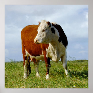 Poster La Beauté Bovine.