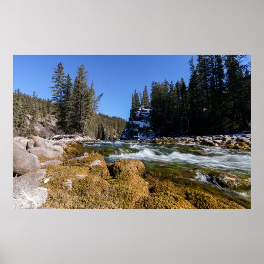 Poster La beauté captivante de la rivière Athabasca (Devant)