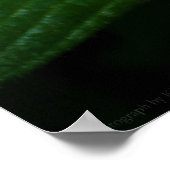 Poster La beauté dans les étoiles Imprimer (Coin)