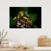 Poster La beauté dans les étoiles Imprimer (Cuisine)