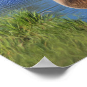 Poster La Beauté De La Nature De L'Oie Du Canada Inspirat (Coin)