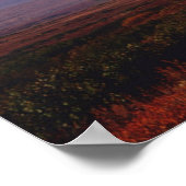 Poster La beauté de Rainbow (Coin)