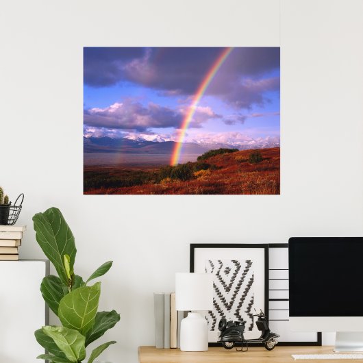 Poster La beauté de Rainbow (Bureau à domicile)