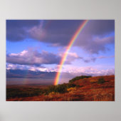 Poster La beauté de Rainbow (Devant)