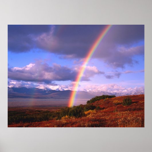 Poster La beauté de Rainbow (Devant)