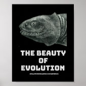 Poster La beauté des requins de l'évolution (Devant)