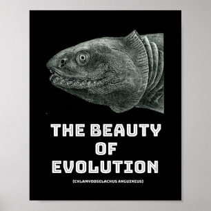 Poster La beauté des requins de l'évolution