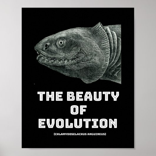 Poster La beauté des requins de l'évolution (Devant)