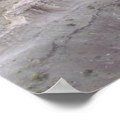 Poster La beauté majestueuse du désert peint (Coin)