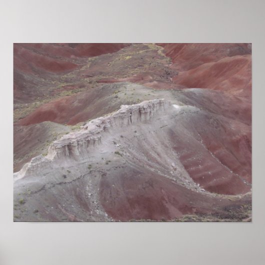 Poster La beauté majestueuse du désert peint (Devant)
