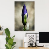 Poster La beauté naissante (Bureau à domicile)
