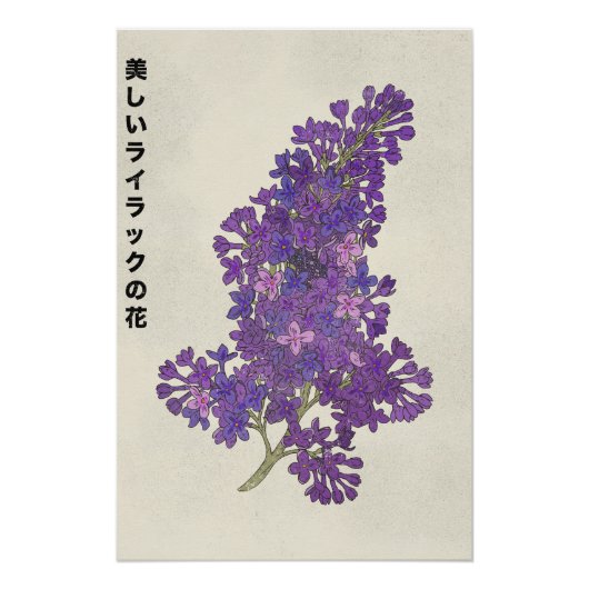 Poster La Belle Fleur de Lilas (Devant)