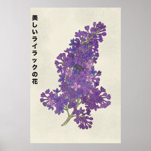 Poster La Belle Fleur de Lilas (Devant)