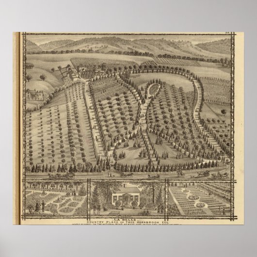 Poster La Belle, la ville de Thos Hornbrook (Devant)