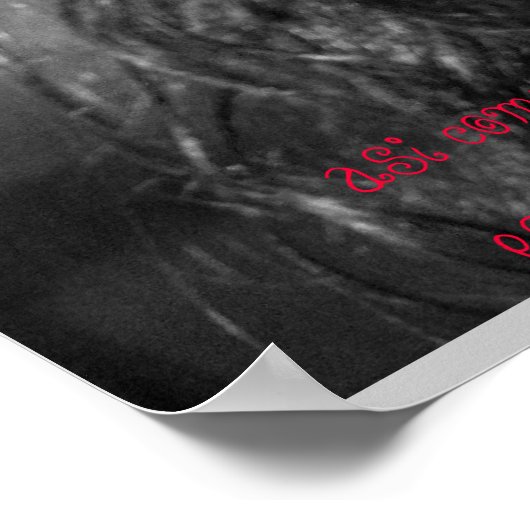 Poster La Belleza (Coin)