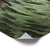 Poster La Berceuse (Augustine Roulin) 1889 (Coin)