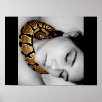 Poster La berceuse de Python