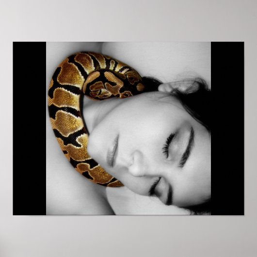 Poster La berceuse de Python (Devant)