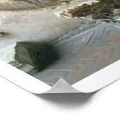 Poster La Bocca di Verita (La Bouche de Vérité) (photo) (Coin)