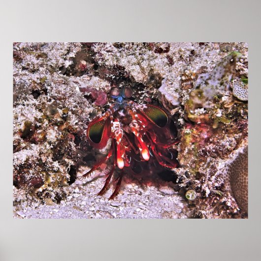 Poster La boîte (Devant)