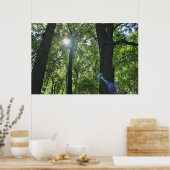 Poster La bulle du soleil (Cuisine)