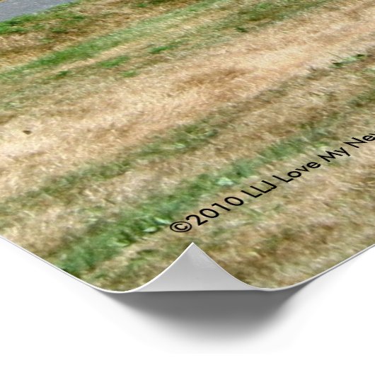 Poster La cabane de pêche (Coin)