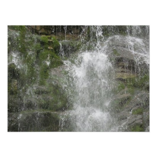 Poster La cascade de La Chute dans le parc national de Fo (Devant)