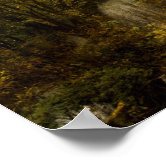 Poster La cascade de Lor Su | Thaïlande (Coin)