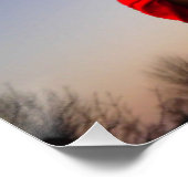 Poster La Catrina dans le cimetière d'Halloween (Coin)