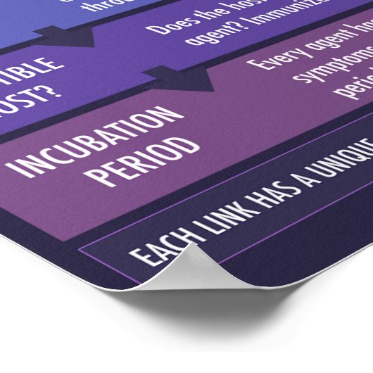 Poster La chaîne de l'affiche éducative inflationniste (Coin)