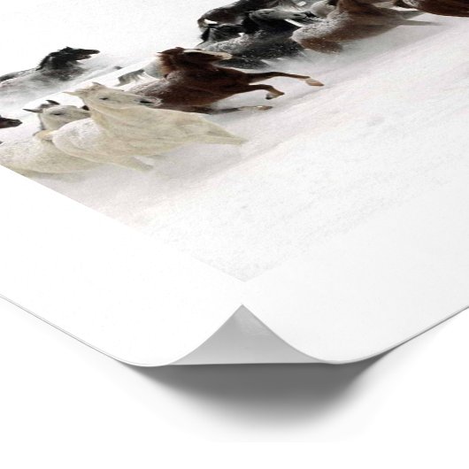 Poster La charge des chevaux. (Coin)