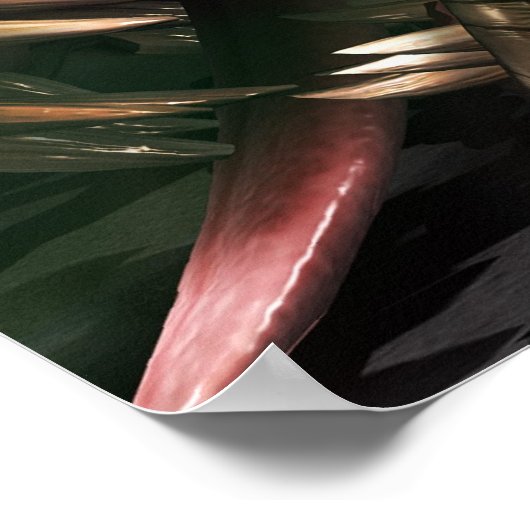 Poster La Chasse (Coin)