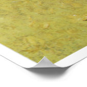 Poster La chasse au bison, 1890 (Coin)