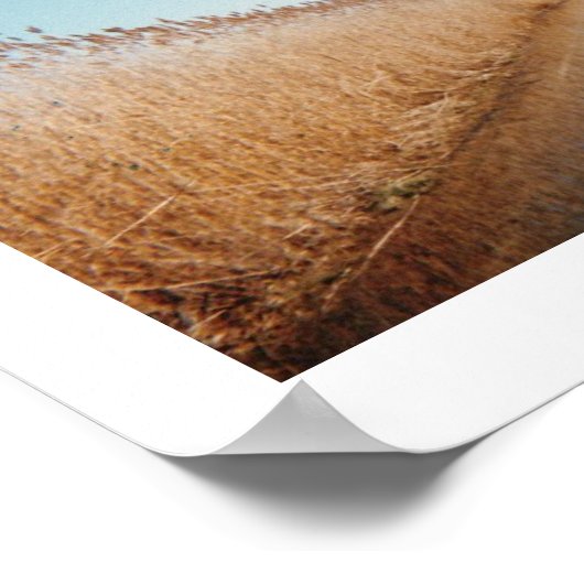 Poster La Chaussée (Coin)