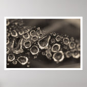 Poster la chaussure tombe (Devant)